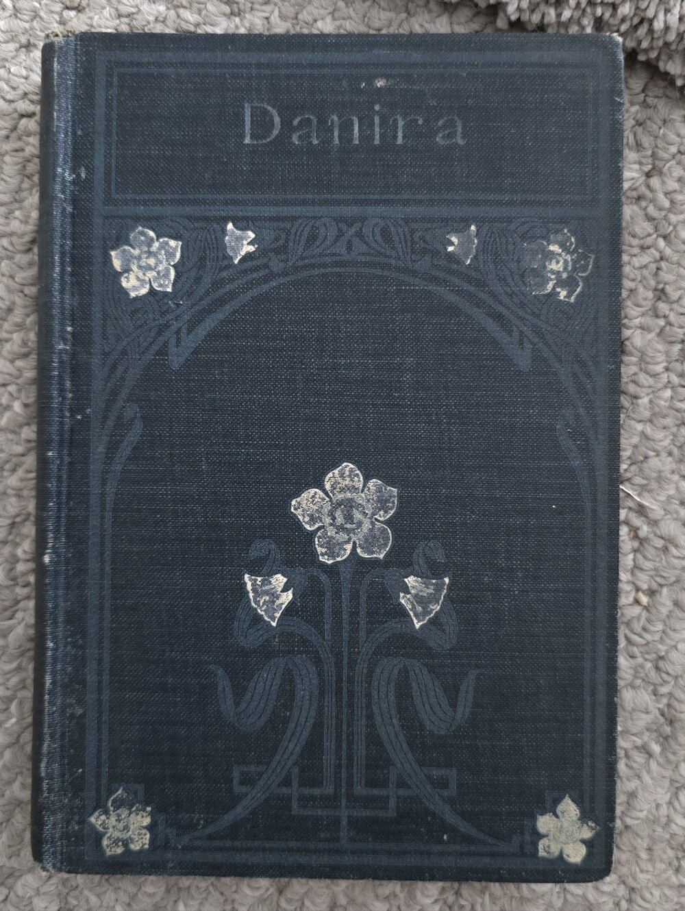 Antique 1888 Hardcover Book DANIRA by E. Werner Fiction